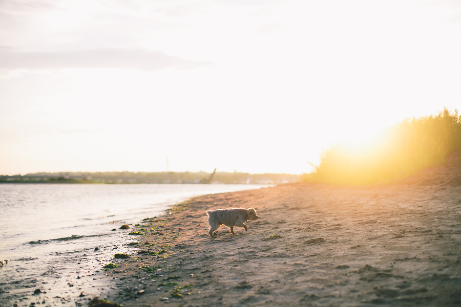 Manasquan NJ Engagement Photos