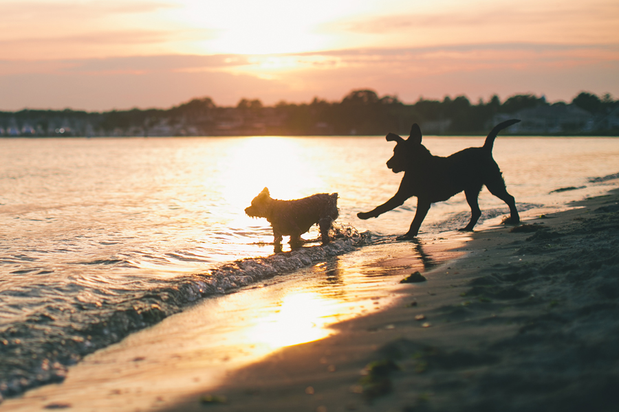 Manasquan NJ Engagement Photos