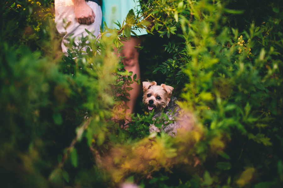 NJ Wedding and Engagement Photographers