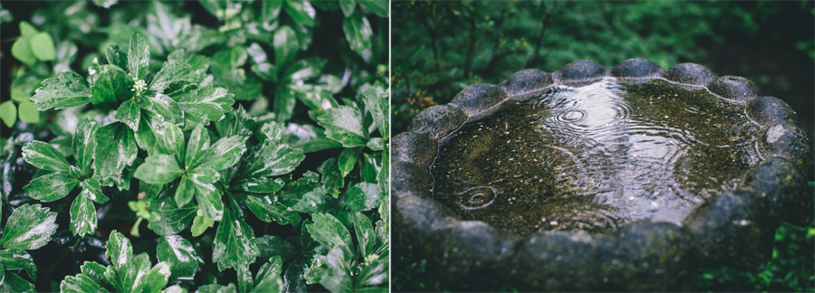 NJ Wedding Photographers