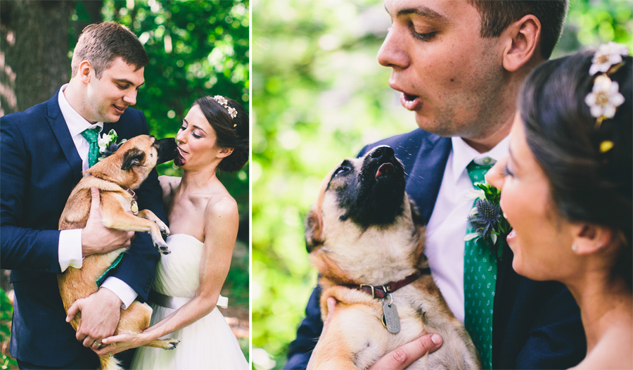 bride and groom with dog