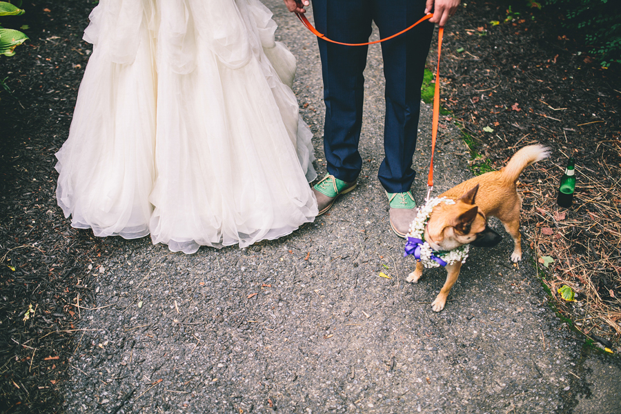 bride and groom with dog