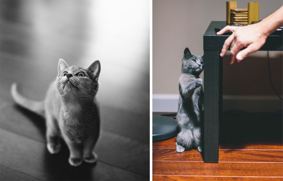 Wedding Photojournalism NJ