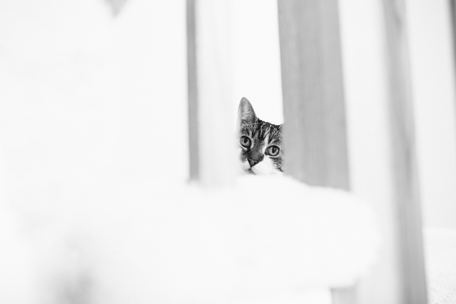 NJ Wedding Photojournalism