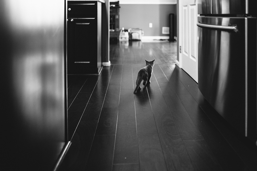 NJ Wedding Photojournalism