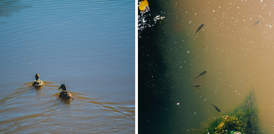 Allentown, NJ Engagement Session
