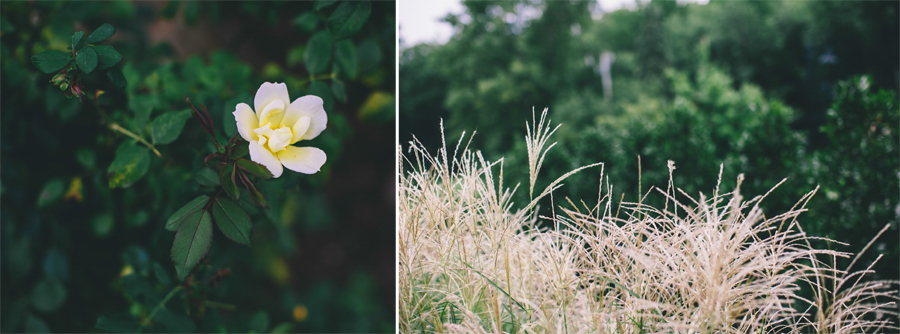 The Stonehouse at Stirling Ridge Wedding