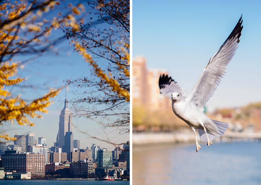 Hoboken Wedding Photographers