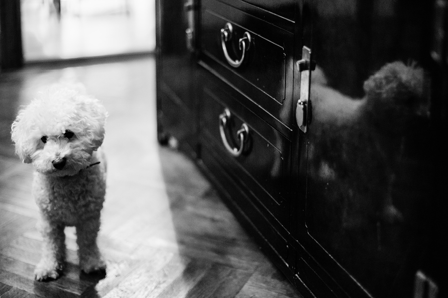 NYC Wedding Photographers