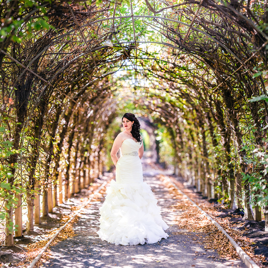 Snug Harbor Wedding Photos