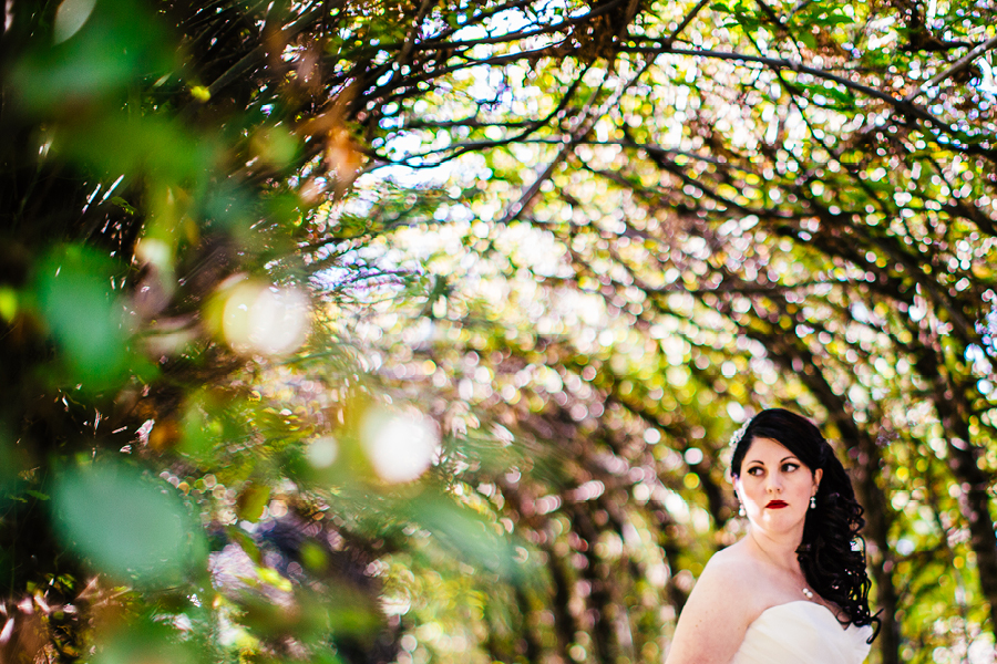 Wedding Photos at Snug Harbor