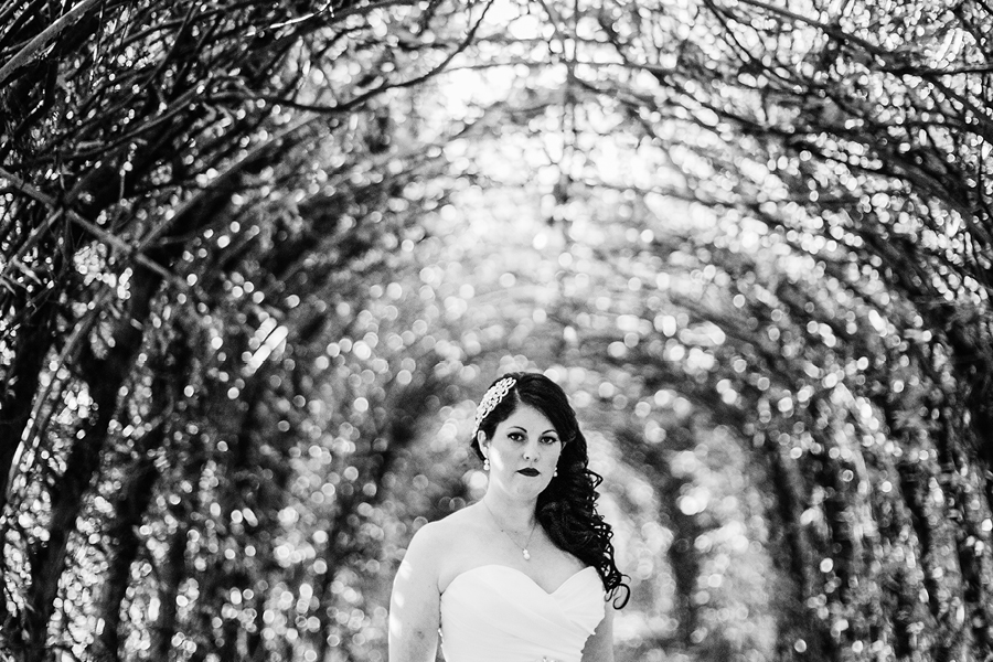 Snug Harbor Wedding Photos