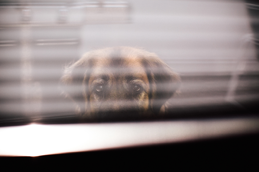 the-lobster-shanty-sunset-ballroom-wedding-photography13