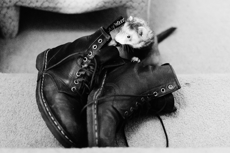 the-mill-at-spring-lake-wedding-photography23