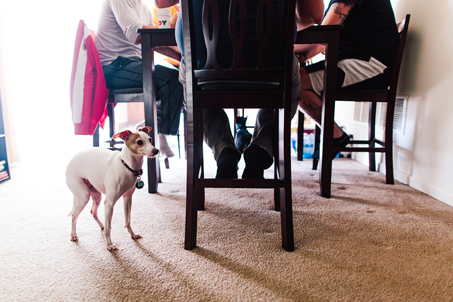 the-mill-at-spring-lake-wedding-photography24