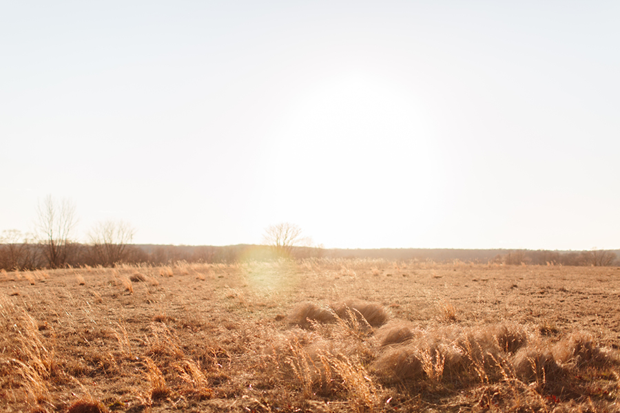 the-mill-at-spring-lake-wedding-photography67