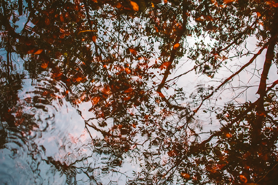 destination-wedding-photographers-southwest-florida11