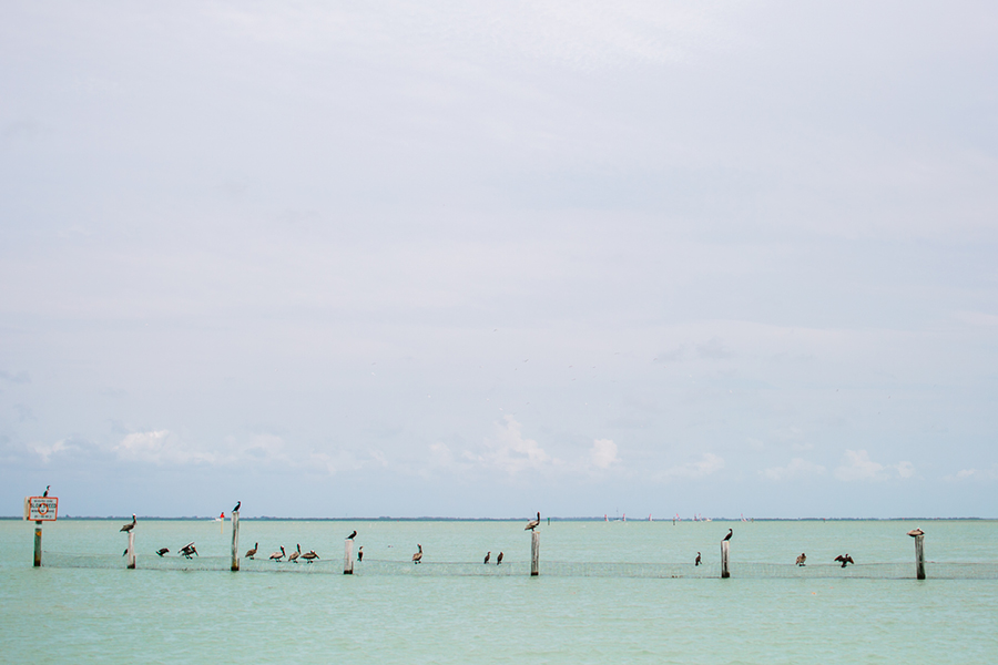 Traveling Wedding Photographers Captiva Island Fl