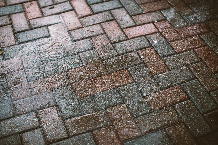 destination-wedding-photographers-southwest-florida35