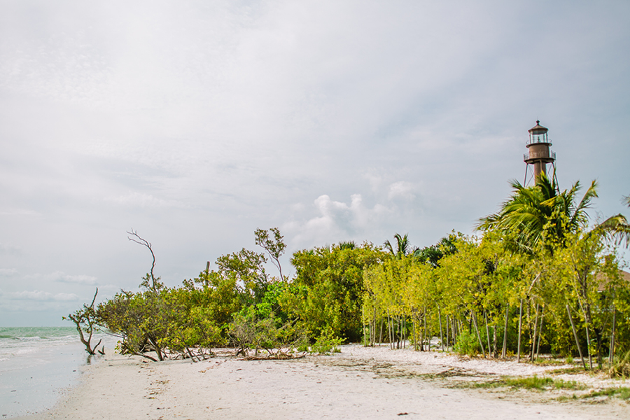 Traveling Wedding Photographers Sanibel Island