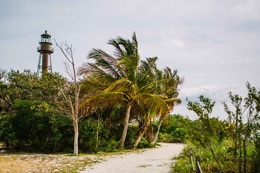 Southwest Florida Wedding Photographers