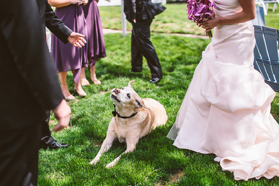 eagle-oaks-country-club-wedding-photography43