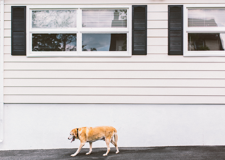 eagle-oaks-country-club-wedding-photography61