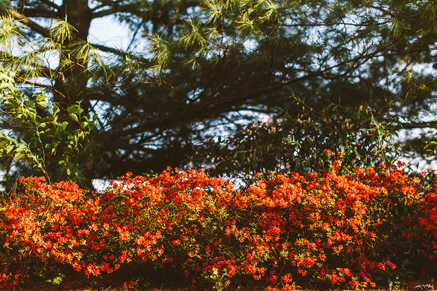 eagle-oaks-country-club-wedding-photography72