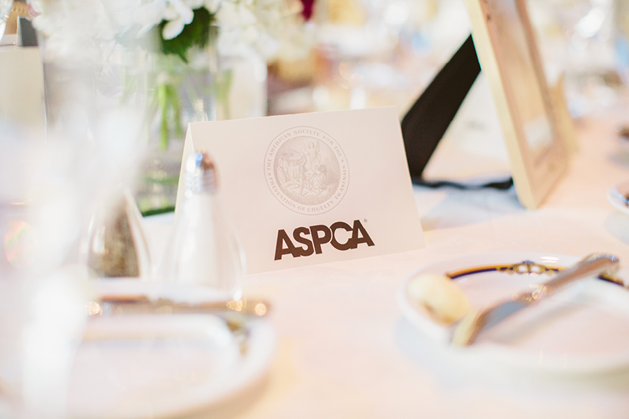 wedding detail inspiration