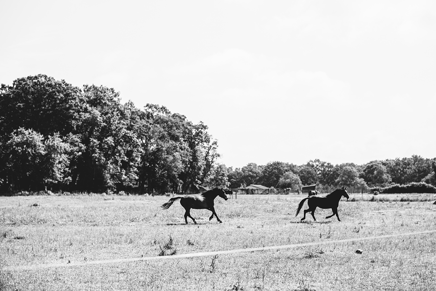 nj-backyard-wedding4
