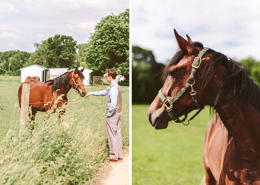 nj-backyard-wedding45
