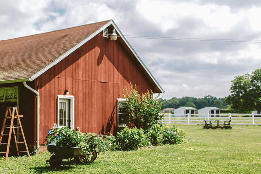 nj-backyard-wedding8