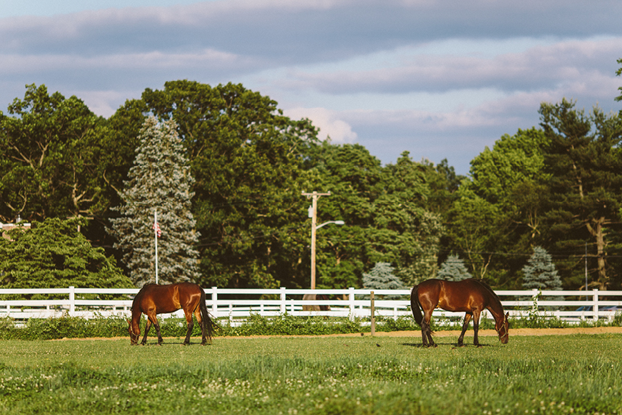 nj-backyard-wedding92