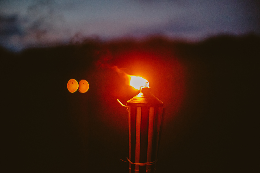 Fiddle Lake Farm Wedding Reception