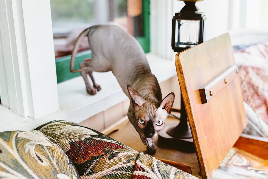 Wedding Photojournalism