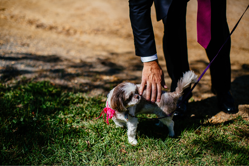 holmdel-park-elopement6