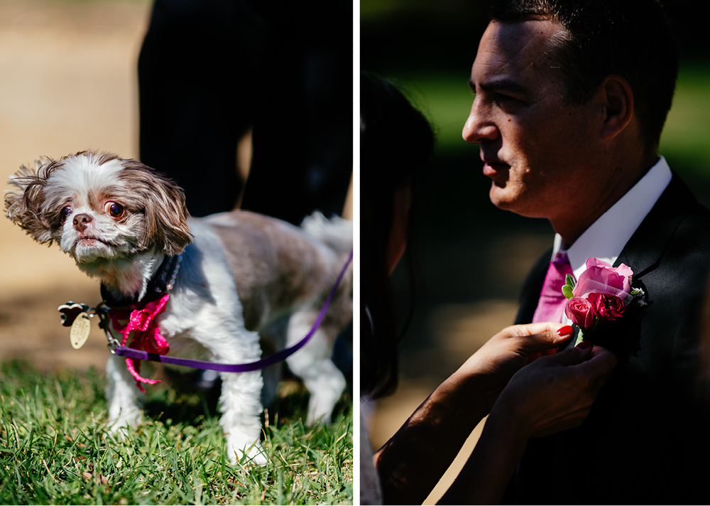holmdel-park-elopement8