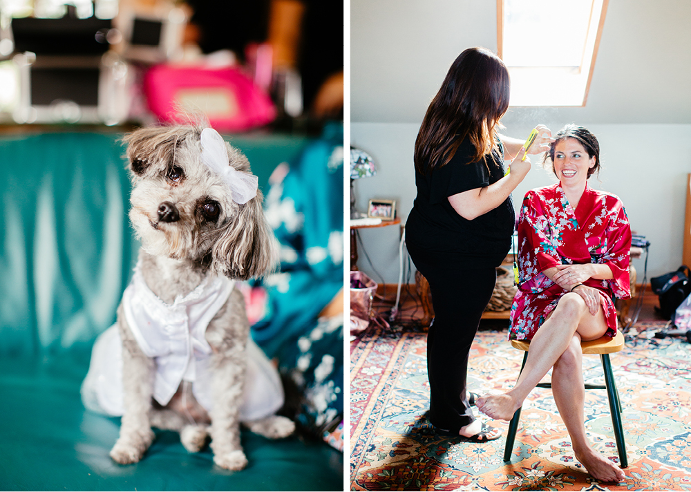 creative wedding photojournalism nj