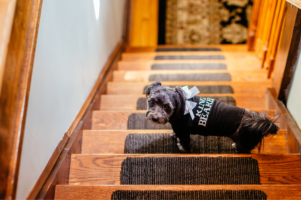 journalistic-wedding-photography