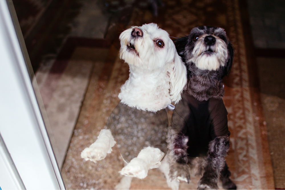 journalistic-wedding-photography4