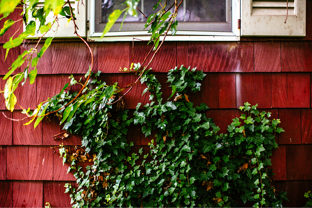 the-inn-at-millrace-pond-wedding-photography15