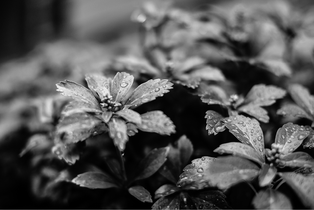 the-inn-at-millrace-pond-wedding-photography28