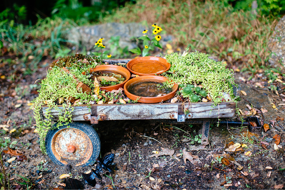 the-inn-at-millrace-pond-wedding-photography3