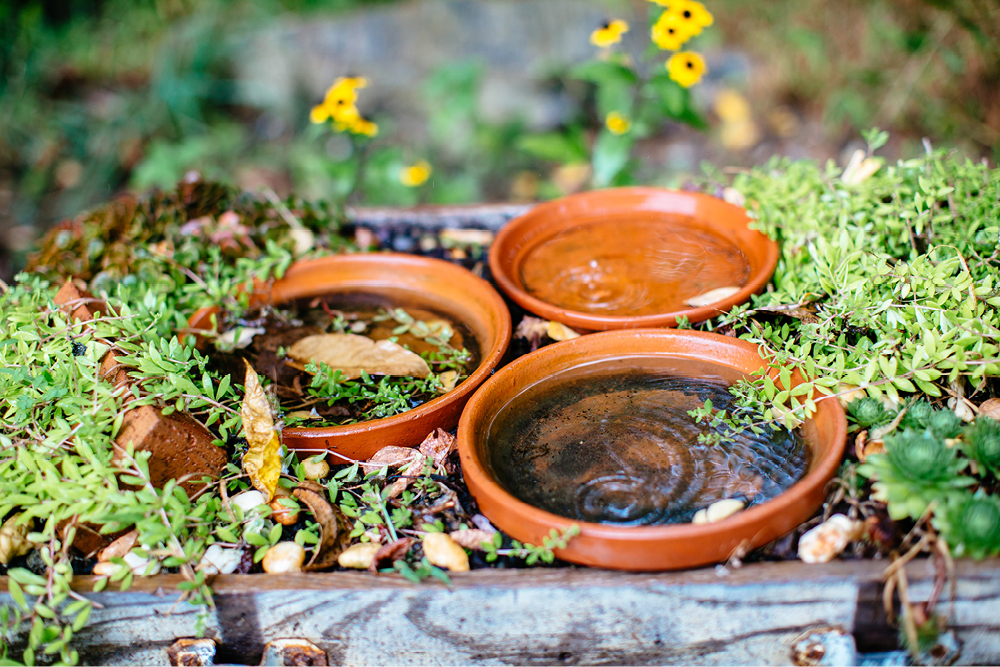 the-inn-at-millrace-pond-wedding-photography4