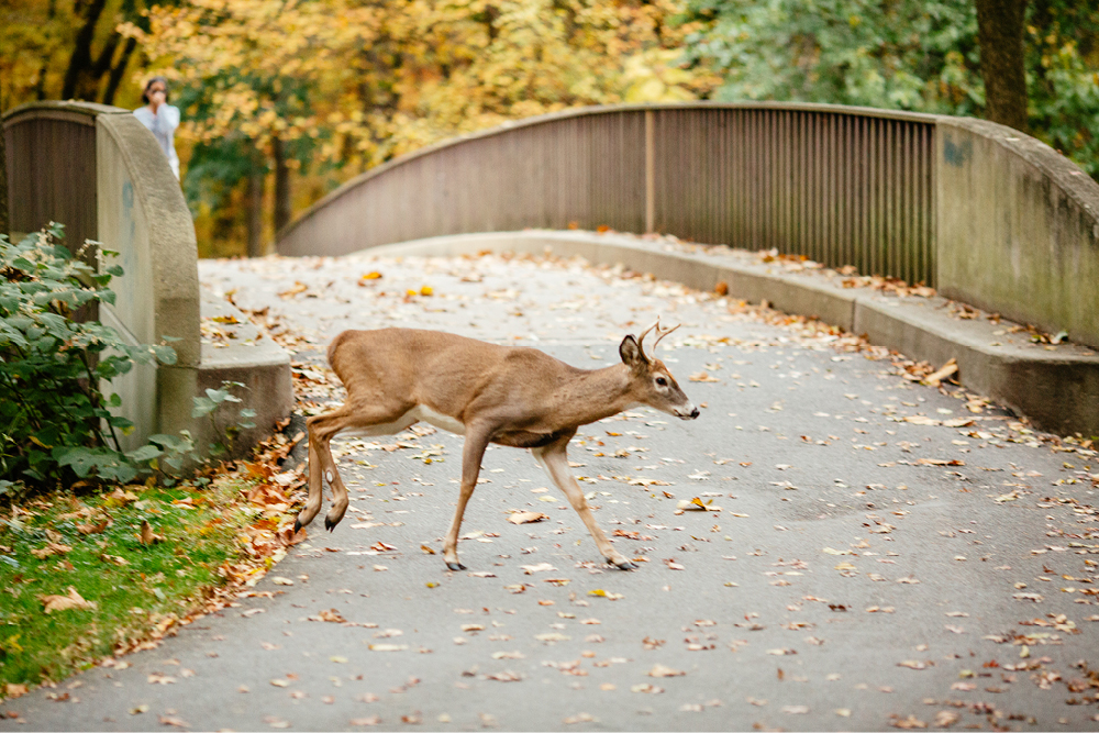 documentary-engagement-session-in-nj36