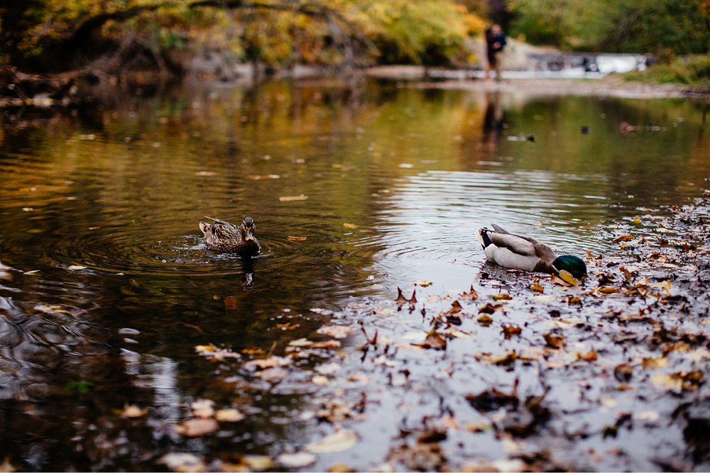 documentary-engagement-session-in-nj39