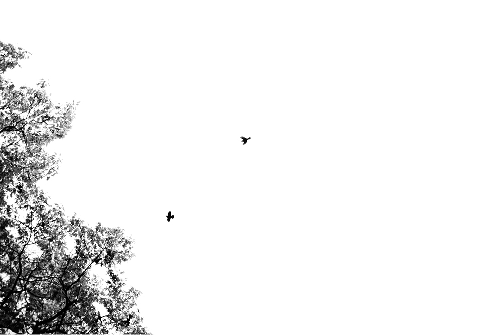 documentary-wedding-photography103