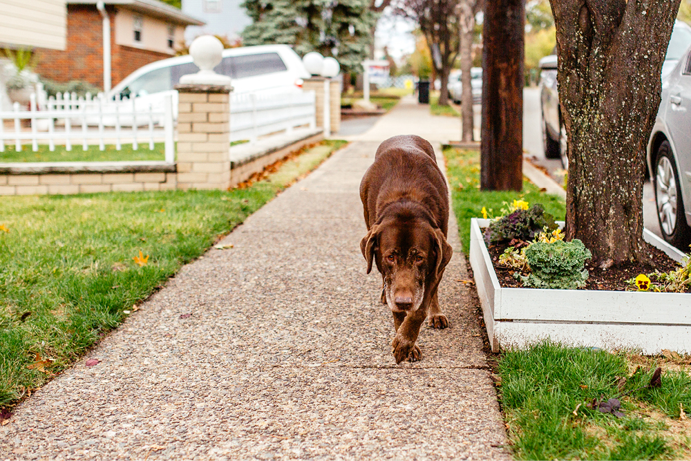 documentary-wedding-photography28