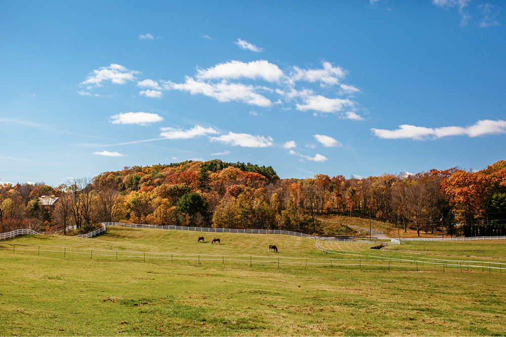 friedman-farms-wedding-photos27