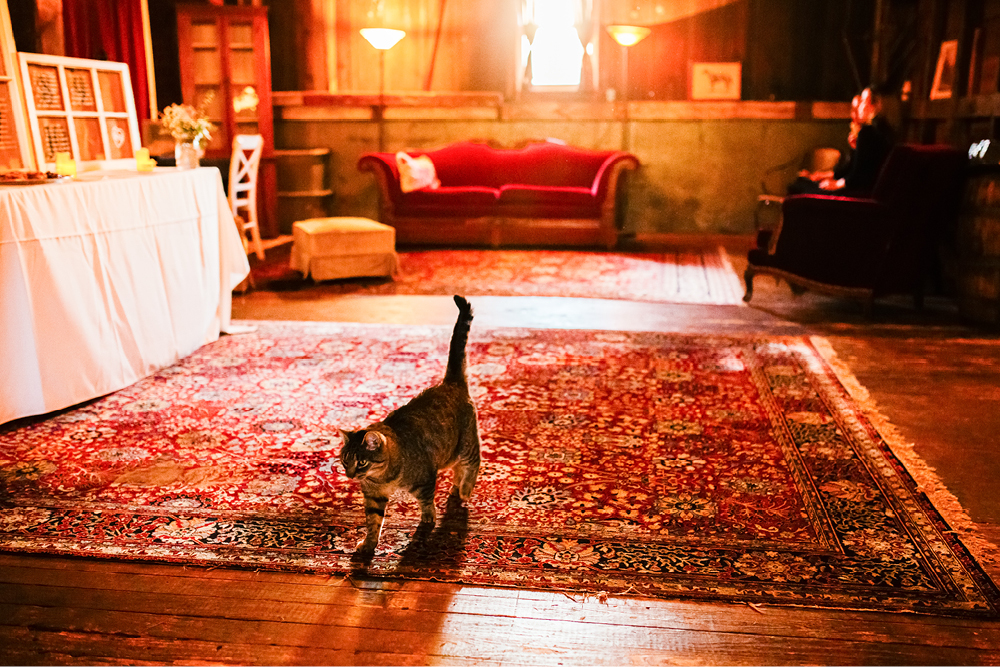 friedman-farms-wedding-photos40